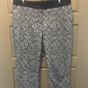 Express editor ankle length pants